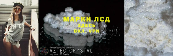 шишки Белоозёрский