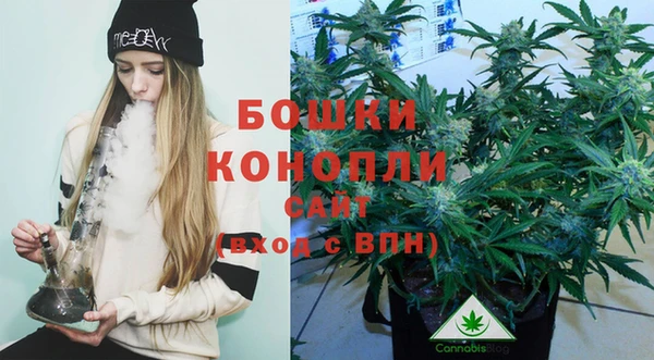 шишки Белоозёрский