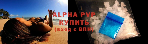 шишки Белоозёрский