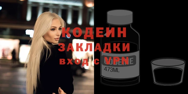 ГАЛЛЮЦИНОГЕННЫЕ ГРИБЫ Богданович