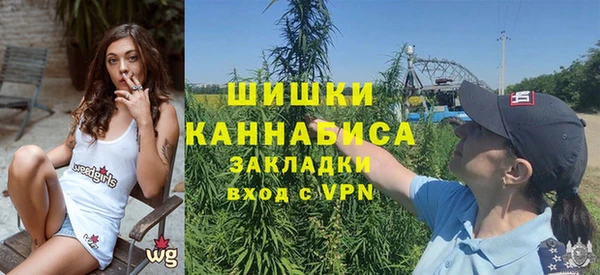 дживик Белокуриха