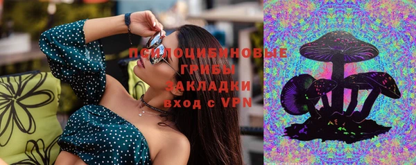 соль курить ск Каменногорск