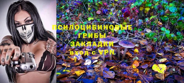 шишки Белоозёрский
