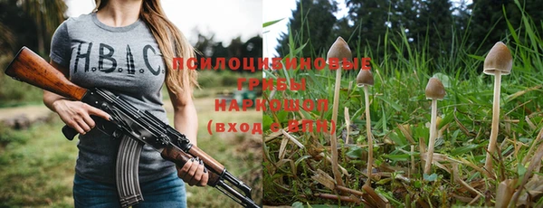 шишки Белоозёрский