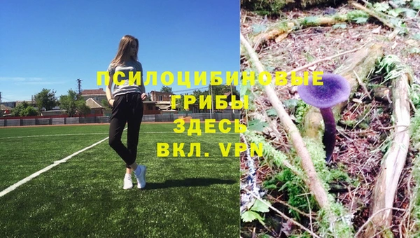 шишки Белоозёрский