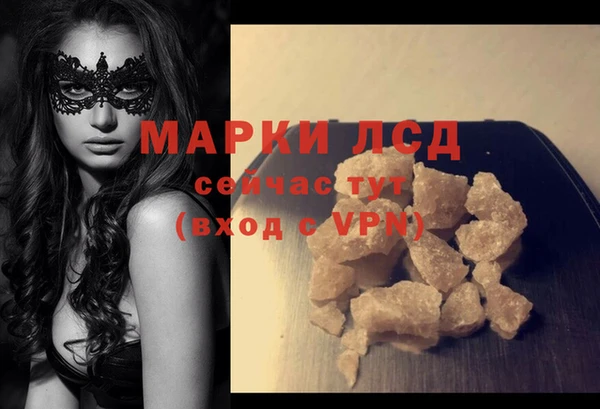 шишки Белоозёрский