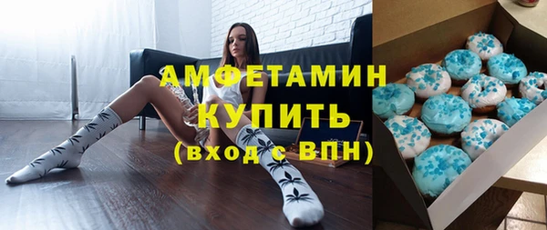 шишки Белоозёрский