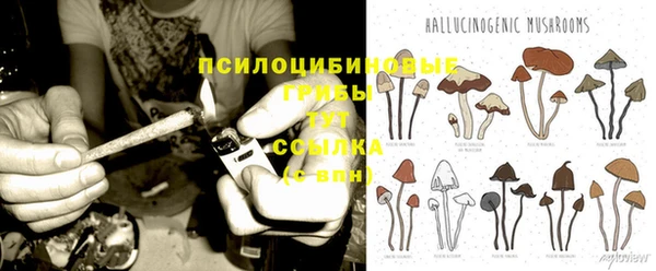 ПСИЛОЦИБИНОВЫЕ ГРИБЫ Беломорск