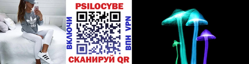 Псилоцибиновые грибы Magic Shrooms  Мглин 
