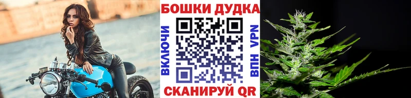 закладки  Мглин  Бошки марихуана Amnesia 